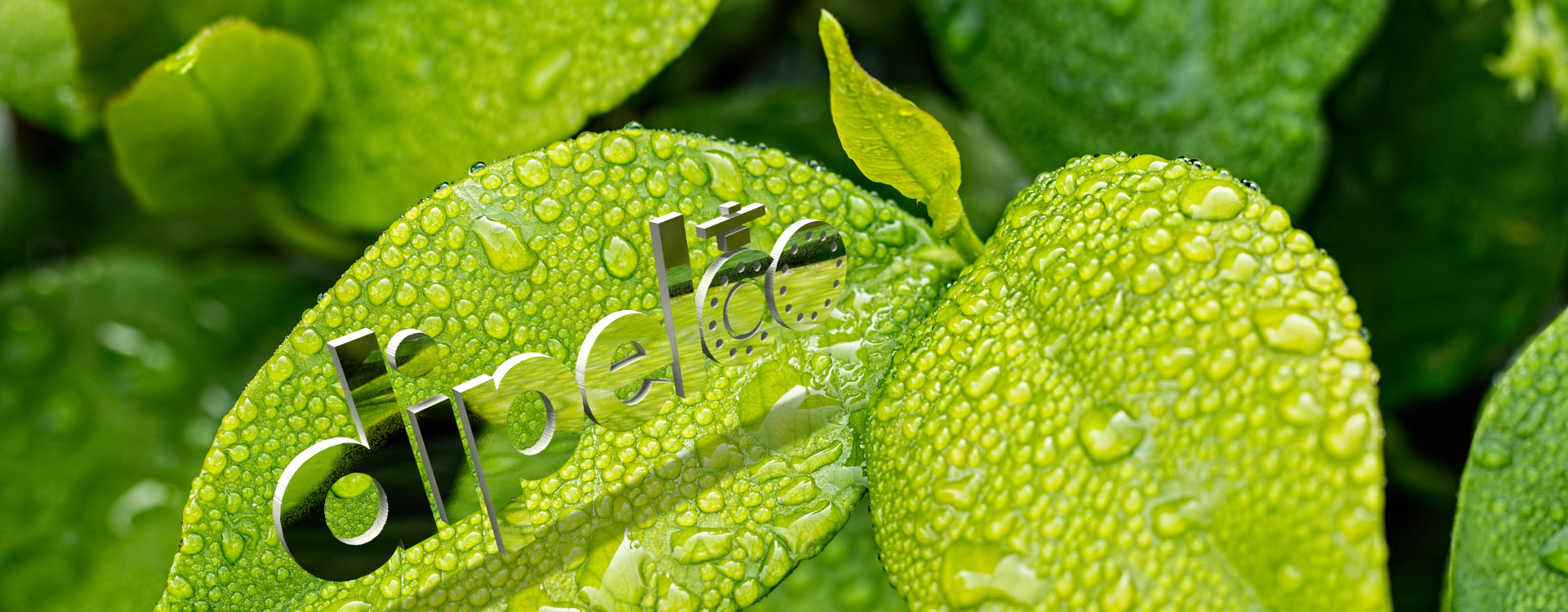 ferretería, industria, tuberías, válvulas, accesorios para sistemas de tuberías, codos, tees, tapas, reducciones, semicodos, bridas, flanges, sistemas contra incendio, redes contra incendio, acero estructural, importadores industriales, mantenimiento industrial, ingeniería industrial, insumos industriales, instrumentación industrial, dispositivos de medición