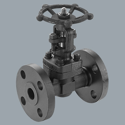 ferretería, industria, distribuidor industrial de válvulas, válvulas, válvulas compuerta, válvulas de retención o cheque, válvulas flotante, válvulas globo, válvulas trunnion, válvulas de alivio, válvulas mariposa, válvulas cuchilla, válvulas de diafragma, válvulas forjadas