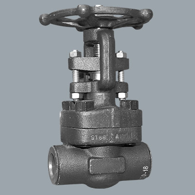 ferretería, industria, distribuidor industrial de válvulas, válvulas, válvulas compuerta, válvulas de retención o cheque, válvulas flotante, válvulas globo, válvulas trunnion, válvulas de alivio, válvulas mariposa, válvulas cuchilla, válvulas de diafragma, válvulas forjadas